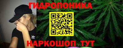 молекула духа Обнинск