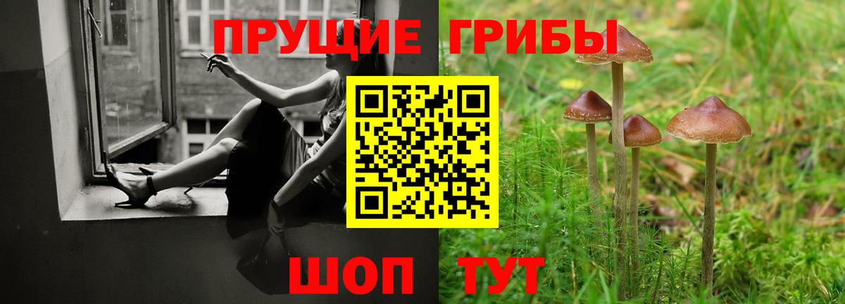 Тимашёвск  Псилоцибиновые грибы GOLDEN TEACHER  Вход с VPN 